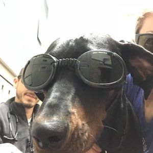 Meet your Posher, Ricca